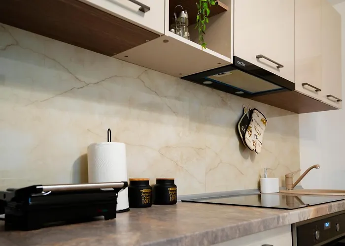 公寓 Casa Paul 布拉索夫